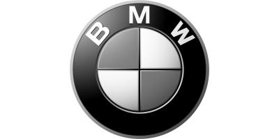 Client BMW Logo